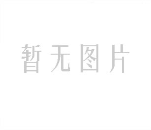 硬脂酸4989s